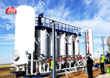 Bom preço. Planta de produção verde do hidrogênio da fonte econômica do biogás renovável on-line